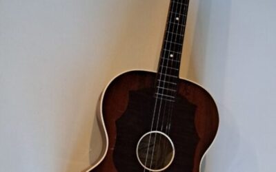 Široko srce za naše tamburaše